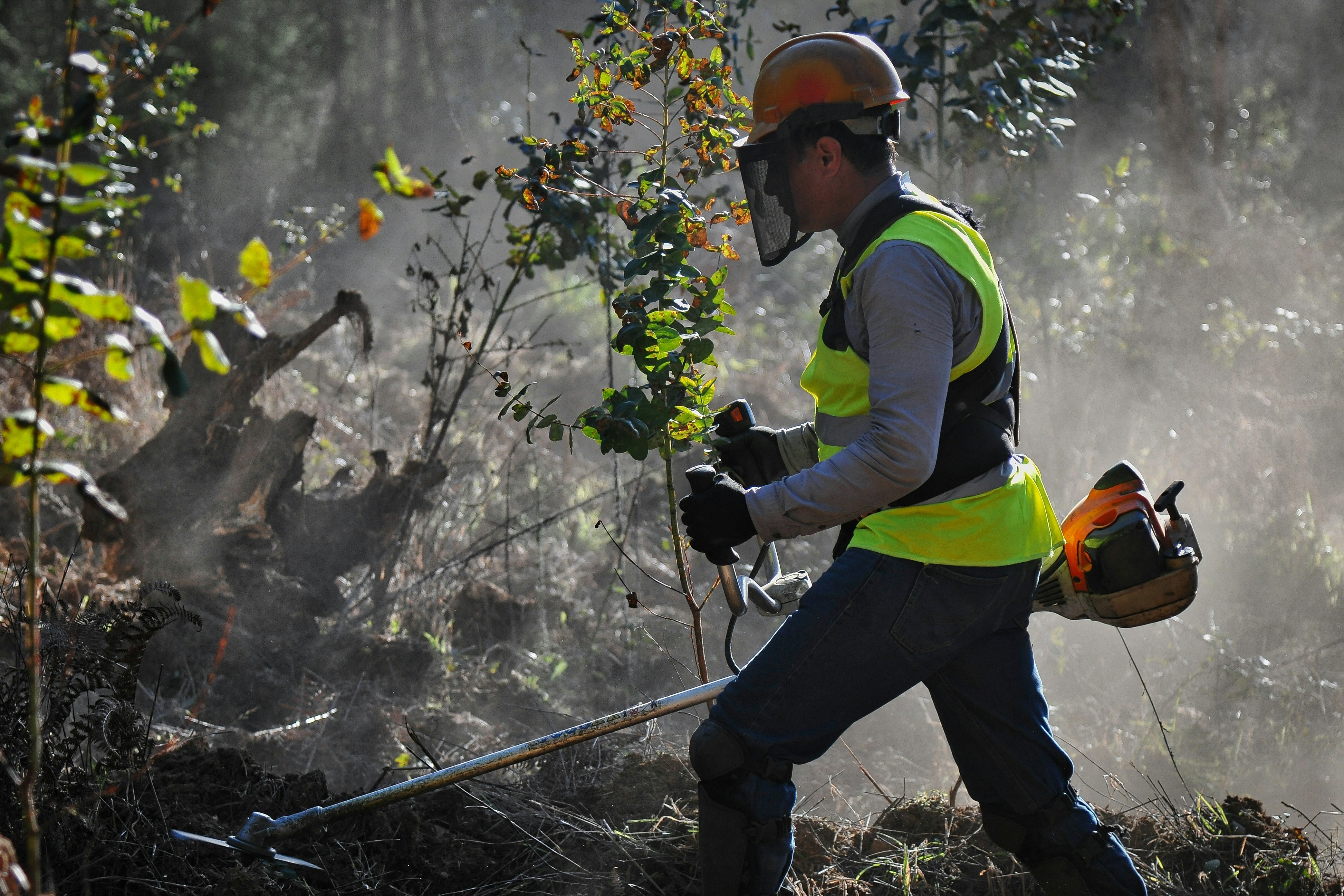 homme travaillant sur un jardin