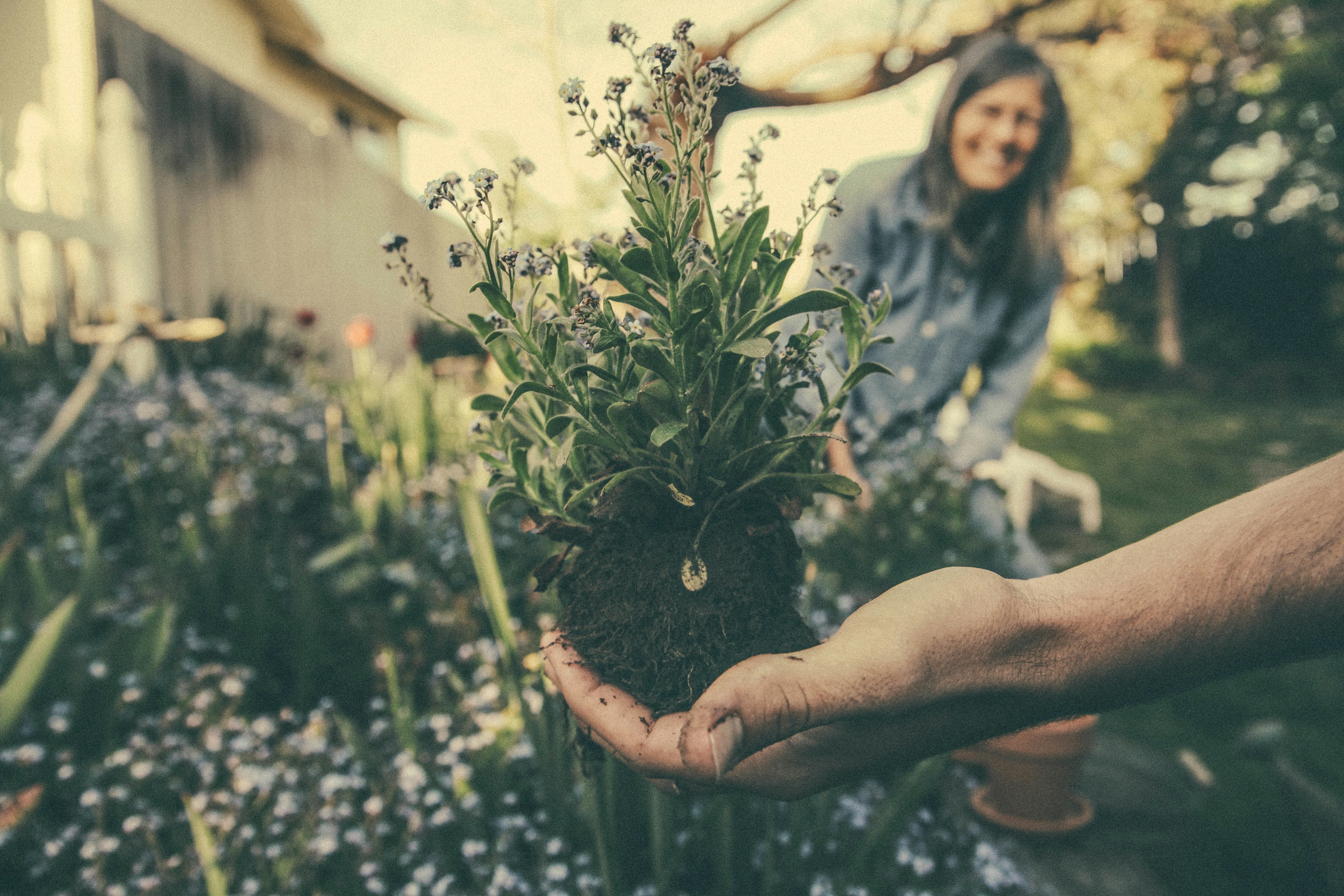 Jardinière heureuse